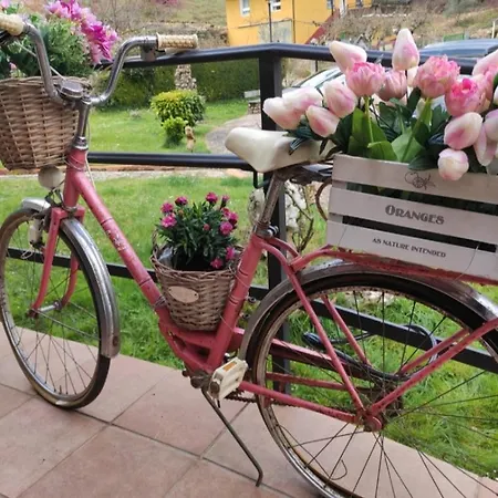 Rural En Cascadas De ホテル *