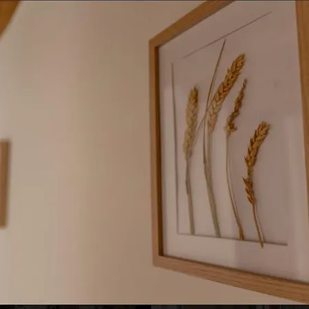 Rural En Cascadas De Tobera