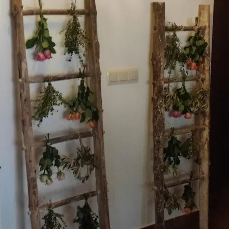 Rural En Cascadas De Tobera