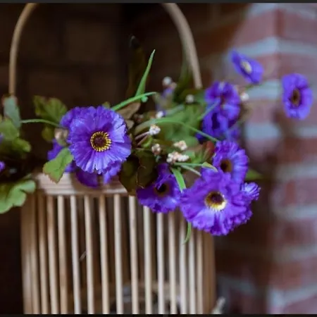 Rural En Cascadas De * Tobera