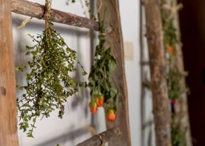 Hotel Rural En Cascadas De *