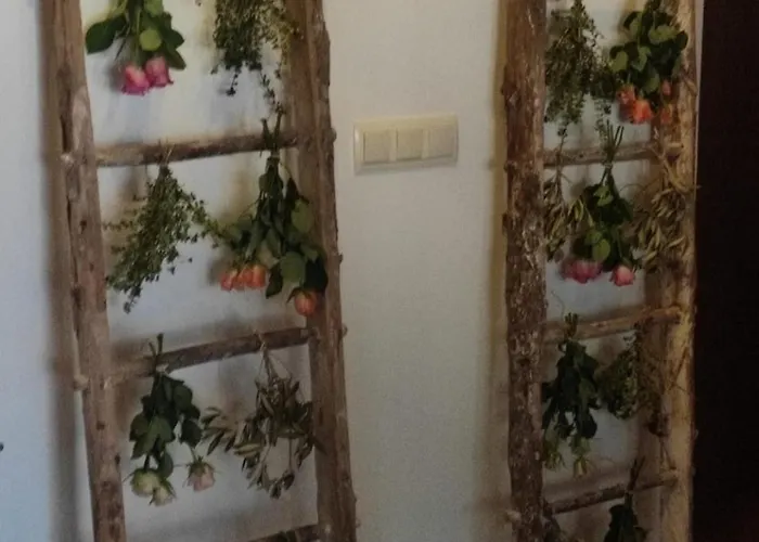 Rural En Cascadas De Tobera