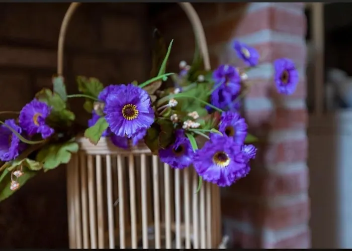Rural En Cascadas De * Tobera
